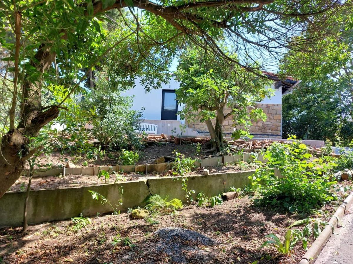 Getxo Garden Houses - The Suite Eksteriør billede